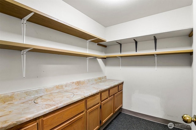 4152 Providence Point Dr SE Unit 207, Issaquah, WA 98029 - view of walk in closet