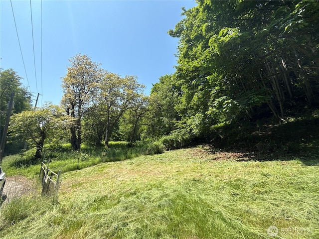 1020 S Valley St, Port Angeles, WA 98362 - photo 4