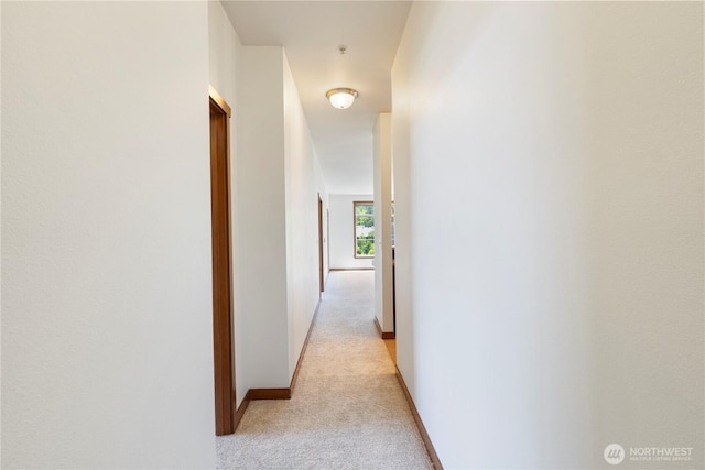 910 Gladstone St Unit 307, Bellingham, WA 98229 - hallway with light carpet and baseboards