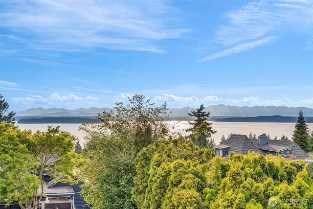 7717 California Ave SW, Seattle, WA 98136 - photo 13