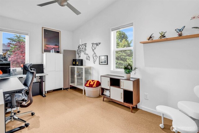 7717 California Ave SW, Seattle, WA 98136 - photo 21