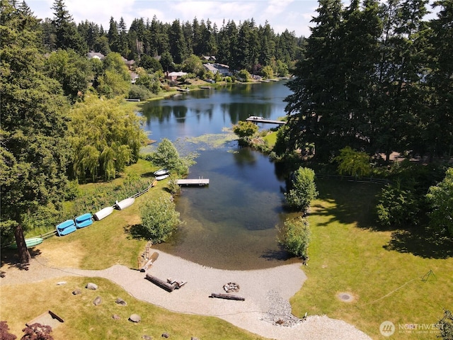 3071 S 276th Ct, Auburn, WA 98001 - drone / aerial view of a large body of water