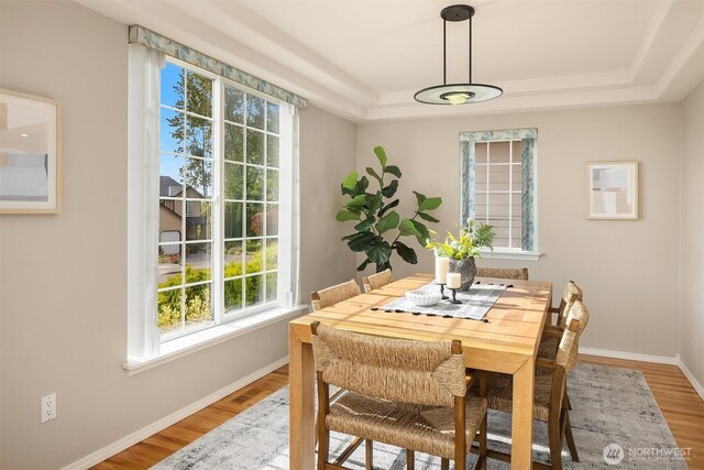 3316 Main Ave S, Renton, WA 98055 - dining room featuring a tray ceiling, healthy amount of natural light, light wood finished floors, and baseboards