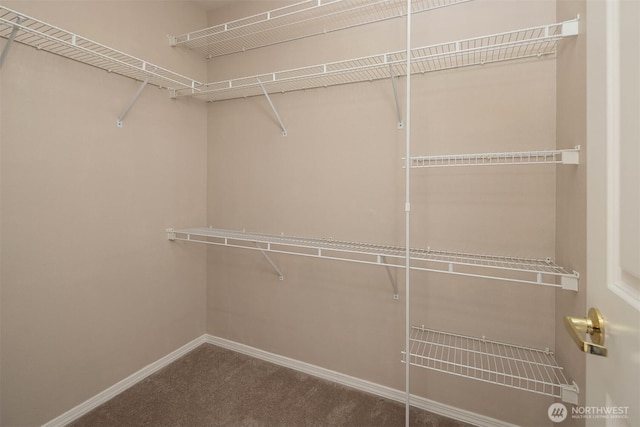 3316 Main Ave S, Renton, WA 98055 - walk in closet with carpet