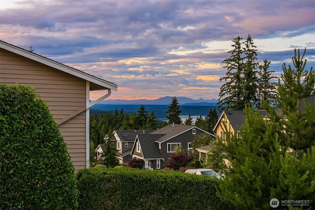 4439 158th Ave SE, Bellevue, WA 98006 - view of mountain background