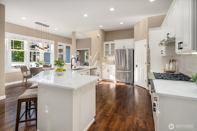 4503 229th Pl SE, Sammamish, WA 98075 - kitchen featuring stainless steel appliances, a sink, dark wood-style flooring, under cabinet range hood, and decorative backsplash