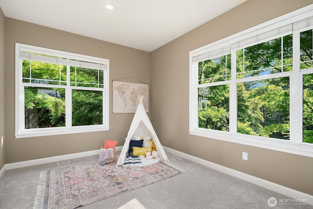 4503 229th Pl SE, Sammamish, WA 98075 - playroom with plenty of natural light, carpet flooring, and baseboards