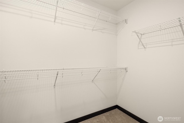 9245 Kelsey Ln SW, Seattle, WA 98106 - walk in closet featuring carpet