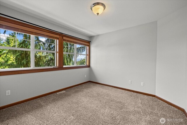 8116 160th St SE, Snohomish, WA 98296 - photo 29