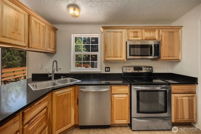 16605 259th Avenue Ct E, Buckley, WA 98321 - kitchen featuring stainless steel appliances, a sink, and dark countertops