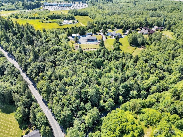 18754 Kim Pl, Burlington, WA 98233 - bird's eye view of a heavily wooded area