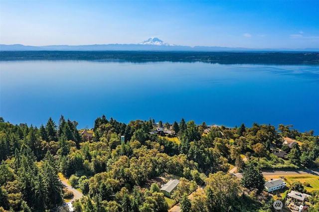 7459 SW 255th St, Vashon, WA 98070 - bird's eye view of a water and mountain view