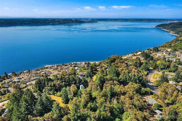 7459 SW 255th St, Vashon, WA 98070 - aerial view of residential area with a large body of water