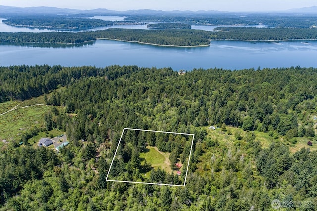 470 E Myers Ln, Shelton, WA 98584 - photo 9