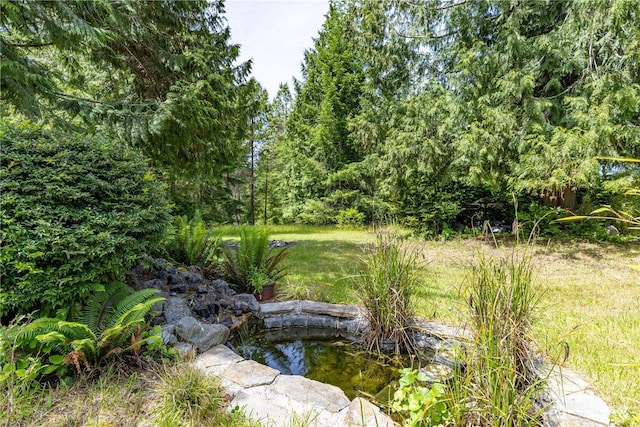 470 E Myers Ln, Shelton, WA 98584 - photo 17