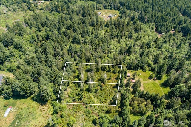 0 E Myers Ln, Shelton, WA 98584 - photo 3