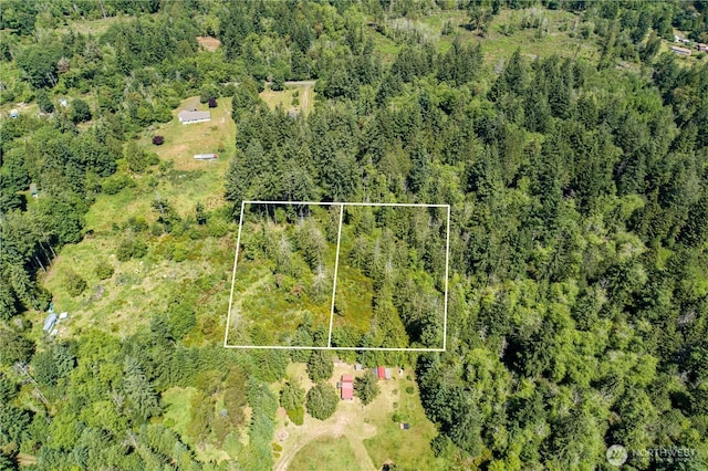 0 E Myers Ln, Shelton, WA 98584 - photo 4