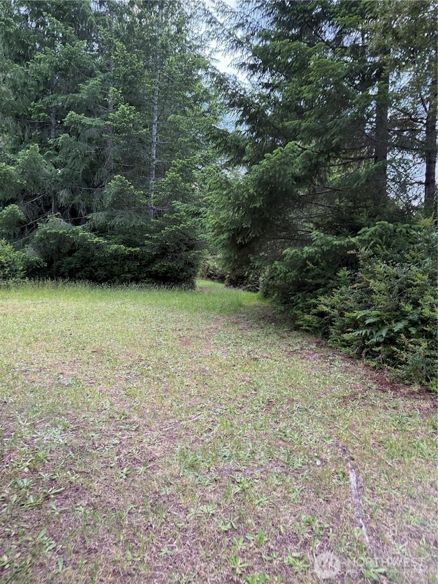 0 E Myers Ln, Shelton, WA 98584 - photo 6