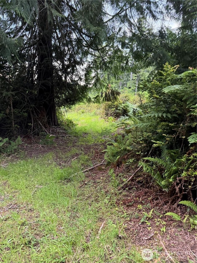0 E Myers Ln, Shelton, WA 98584 - photo 7