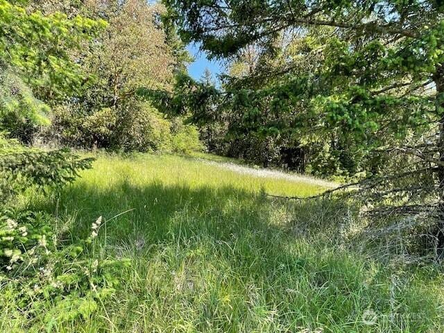 0 Elk Heights Trl, Sequim, WA 98382