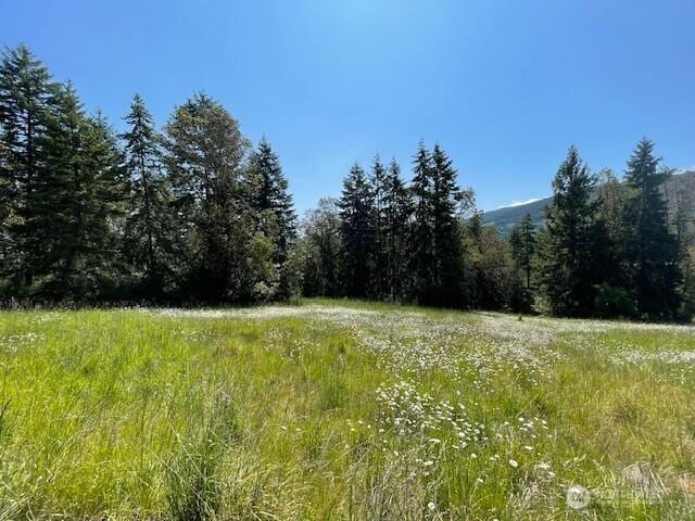 0 Elk Heights Trl, Sequim, WA 98382