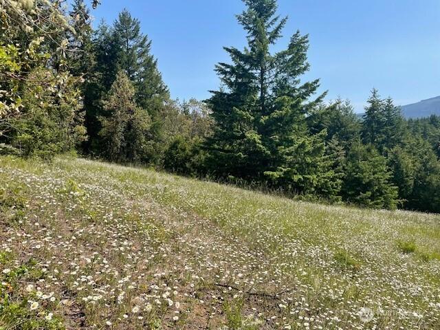 0 Elk Heights Trl, Sequim, WA 98382