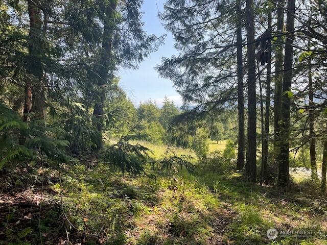 0 Elk Heights Trl, Sequim, WA 98382