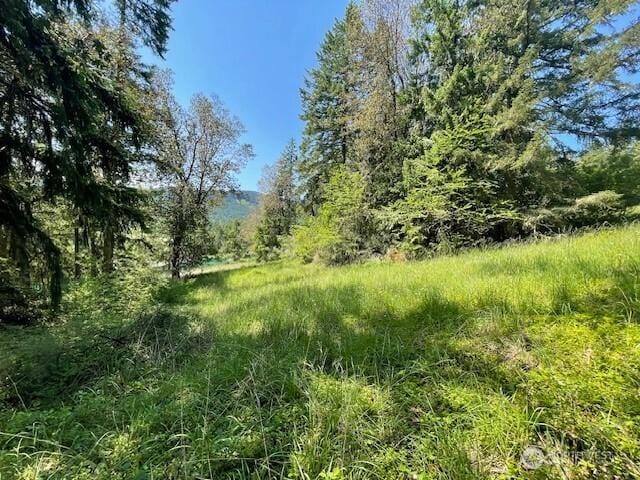 0 Elk Heights Trl, Sequim, WA 98382