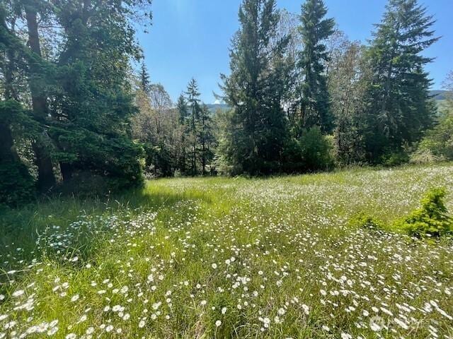 0 Elk Heights Trl, Sequim, WA 98382