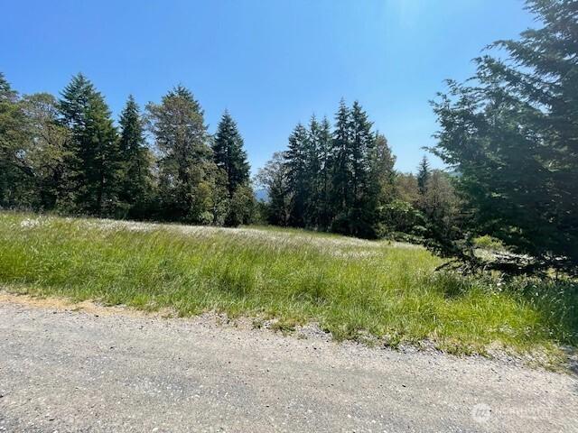 0 Elk Heights Trl, Sequim, WA 98382