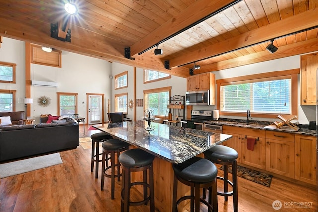 9135 Custer School Rd, Custer, WA 98240 - kitchen featuring appliances with stainless steel finishes, wood ceiling with exposed beams, a sink, light wood-style floors, and a breakfast bar area