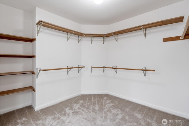 1258 NW Timber Shadow Ct, Silverdale, WA 98380 - walk in closet with carpet