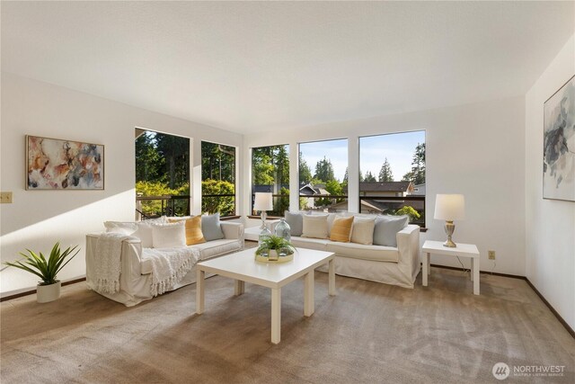18801 86th Pl W, Edmonds, WA 98026 - living room featuring healthy amount of natural light and carpet flooring