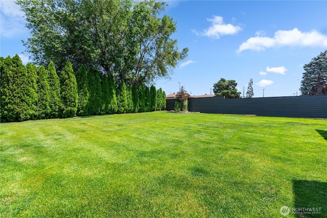 367 1st St SE, East Wenatchee, WA 98802 - view of green lawn