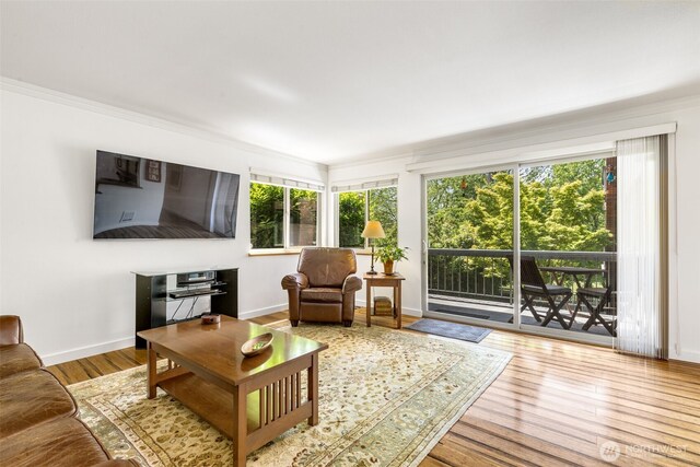 732 11th Ave E Unit 202, Seattle, WA 98102 - living room featuring plenty of natural light, crown molding, wood finished floors, and baseboards