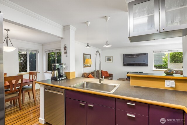 732 11th Ave E Unit 202, Seattle, WA 98102 - kitchen featuring stainless steel dishwasher, red cabinets, a sink, ornamental molding, and plenty of natural light