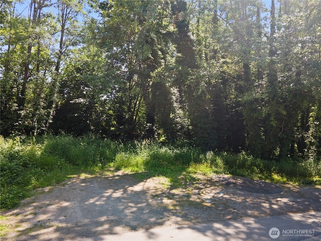 0 12th Ave SE, Olympia, WA 98501 - photo 6