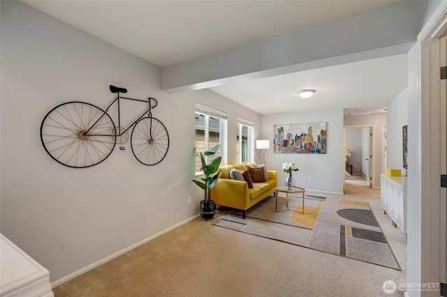 18307 38th Dr SE, Bothell, WA 98012 - sitting room with carpet flooring and baseboards