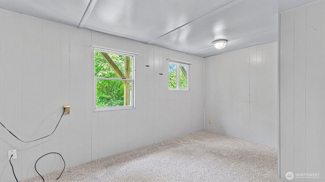13010 168th St NE, Arlington, WA 98223 - spare room with carpet flooring and wood walls