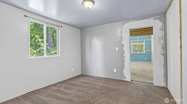 13010 168th St NE, Arlington, WA 98223 - empty room featuring carpet flooring and healthy amount of natural light