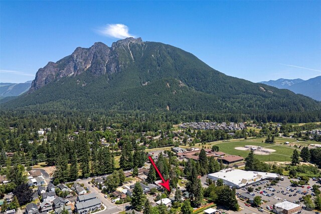 331 E 2nd St, North Bend, WA 98045 - mountain view with a forest