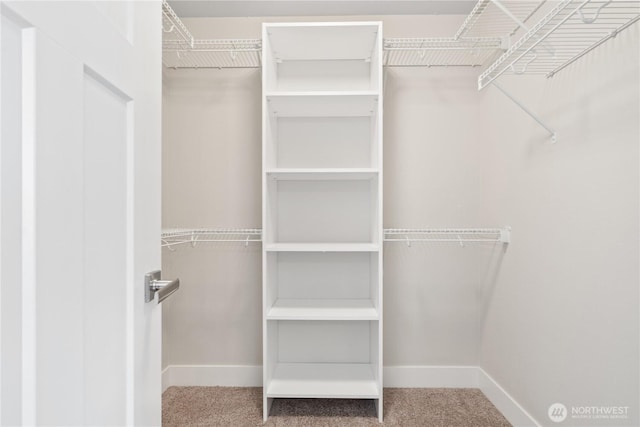 4008 223rd Pl SE, Bothell, WA 98021 - spacious closet with carpet