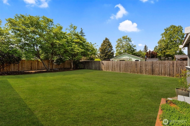 1254 Mchugh Ave, Enumclaw, WA 98022 - view of yard