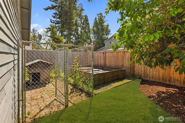 1254 Mchugh Ave, Enumclaw, WA 98022 - fenced backyard with a vegetable garden
