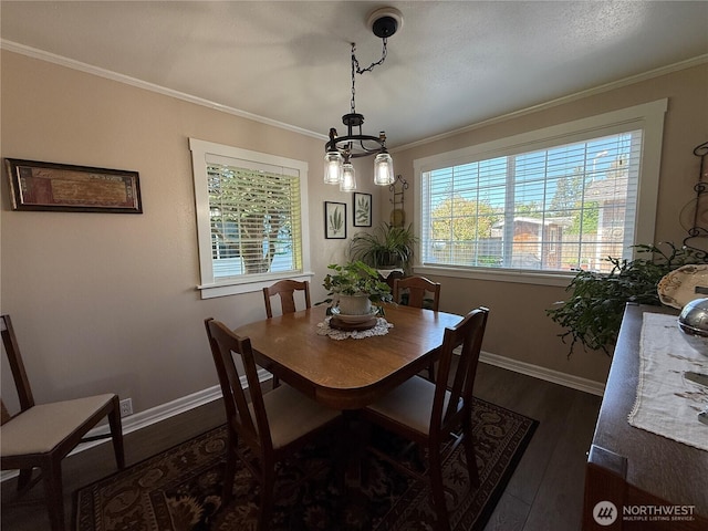 115 15th St SW, Long Beach, WA 98631 - dining area with dark wood-style floors, ornamental molding, healthy amount of natural light, and baseboards