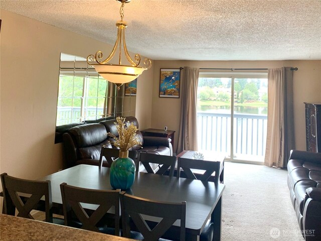31003 14th Ave S Unit C12, Federal Way, WA 98003 - carpeted dining space with a textured ceiling and a water view