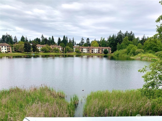 31003 14th Ave S Unit C12, Federal Way, WA 98003 - water view