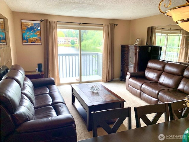 31003 14th Ave S Unit C12, Federal Way, WA 98003 - living area with carpet floors and a textured ceiling