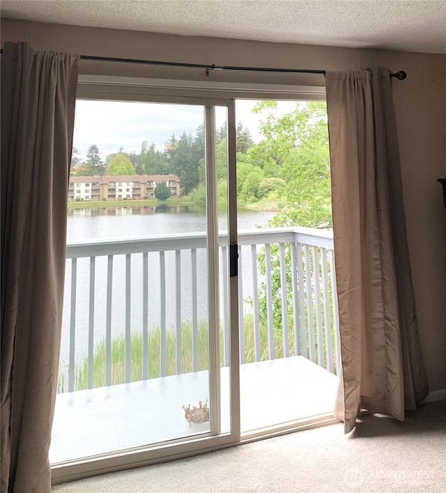 31003 14th Ave S Unit C12, Federal Way, WA 98003 - entryway featuring a water view and a textured ceiling