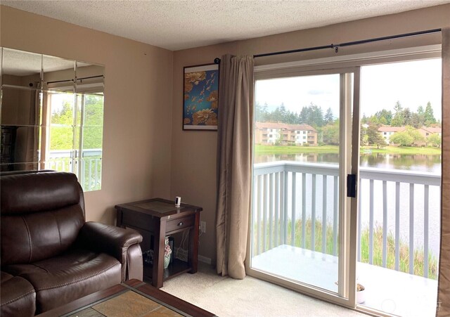 31003 14th Ave S Unit C12, Federal Way, WA 98003 - sitting room with a water view and a textured ceiling
